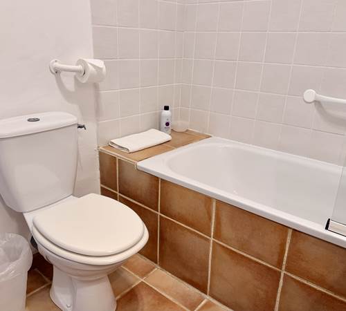 La salle de bains-galerie