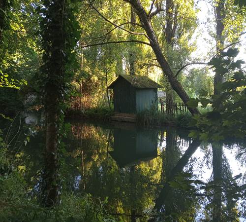 Sans titre-photo-page