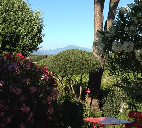 Gîte Le Levant - Vue sur le Mont Ventoux-galerie
