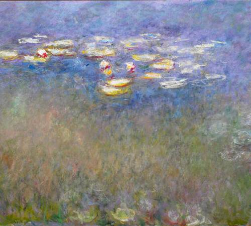 water-lilies-agapanthus-galerie