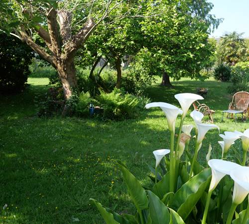 Sans titre-photo-page