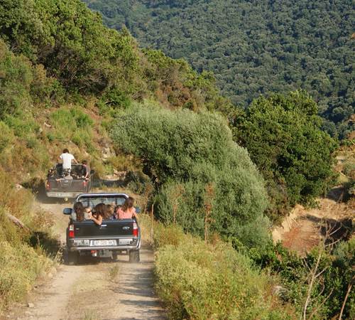 Sans titre-photo-page