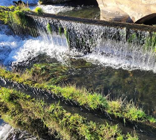 La sorgue