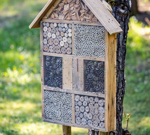 la Biodiversité une priorité au Hameau des Laurières