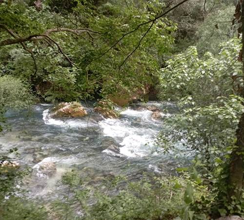 La source