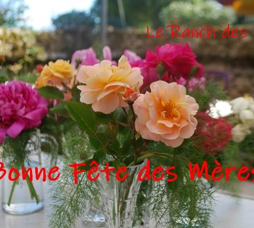 Fête des mères au Ranch des Lacs 2023-photo-page