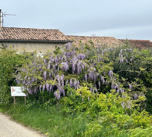 Le Mas Mellou - Gîte Le Levant-galerie