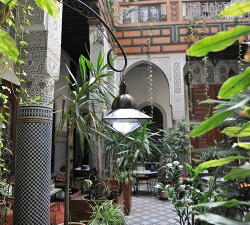 424868_3297433870212_1244194654_n-galerie