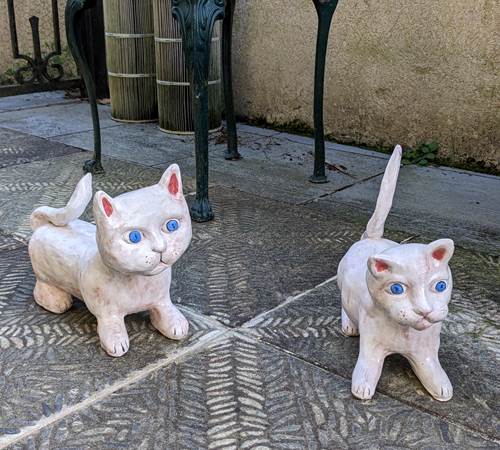 matous toujours-photo-page