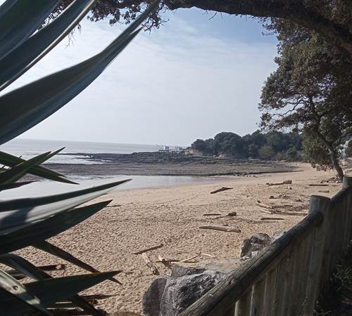 Saint Palais sur Mer plage-photo-page