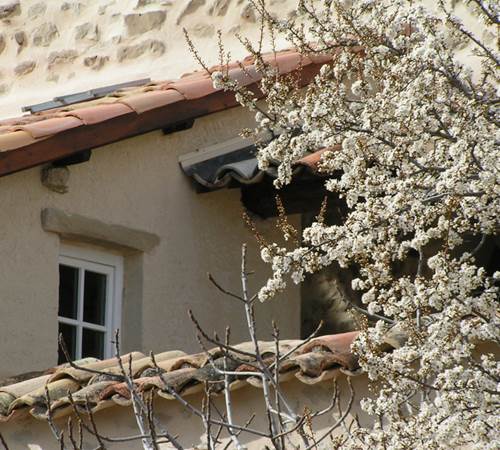 La maison d'hôtes-photo-page