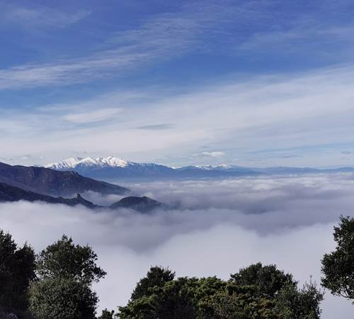 Le Canigou vue des Albères