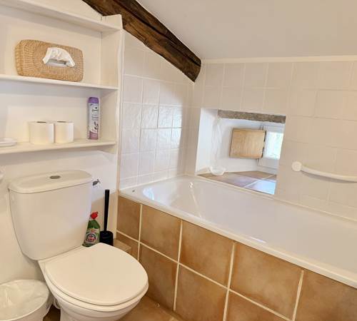 La salle de bains-galerie