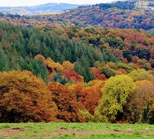 couleurs d'automne devant Le Ranch des Lacs-galerie