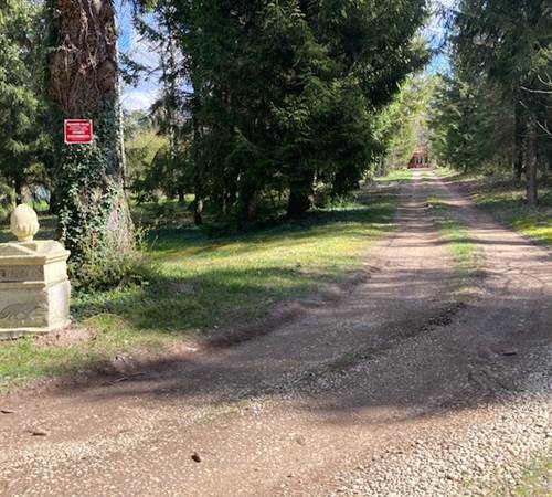 accès Allée Forest House Renardière-galerie