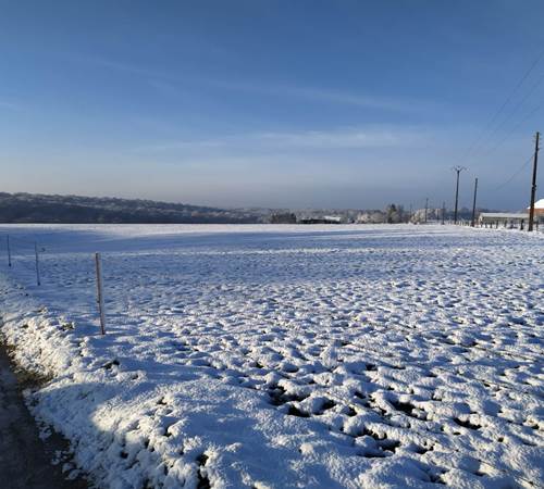 Zone fabrication de bonhomme de neige