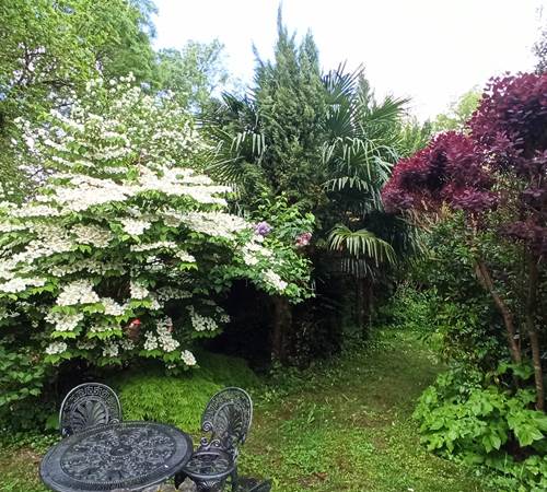 hydrangeas acers japonais cyprès ,printemps chamaré-photo-page