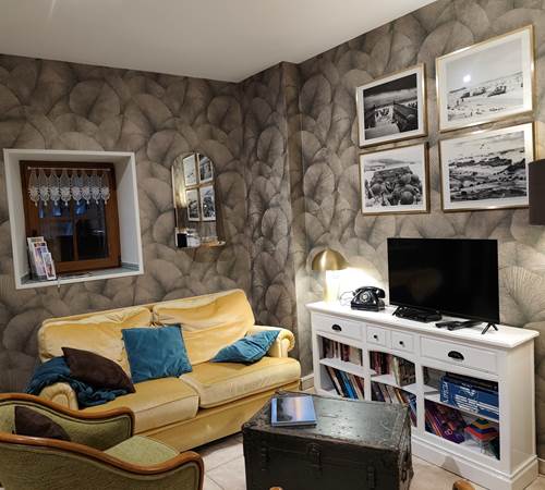 la-ferme-aux-chats-européen-siamoise-vétérans-mémoire-galerie