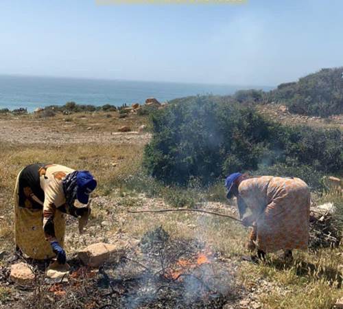 WhatsApp Image 2025-10-27 at 14.45.36 (1)-galerie