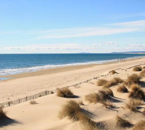 image-photo-news