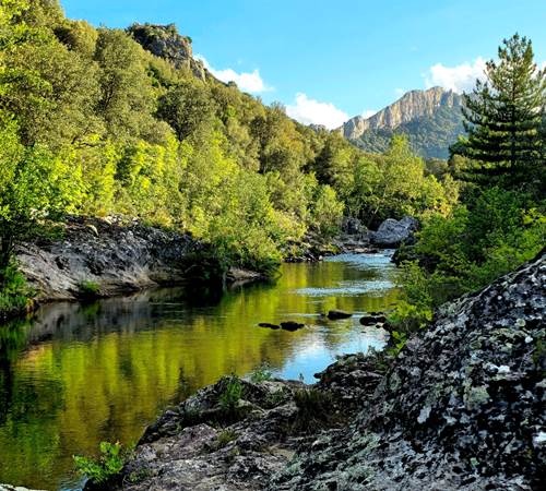 La rivière Golo est directement accessible depuis l'établissement,-galerie