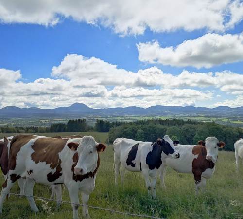 Depuis le village de Roure, vue sur la Chaîne des Puys-galerie