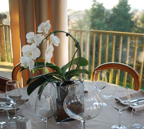 Sans titre-photo-page