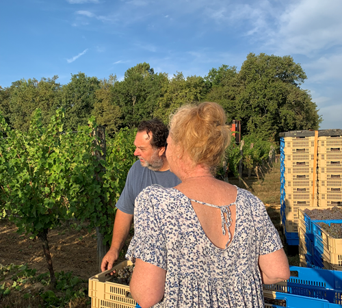 VENDANGES MAINS-photo-page