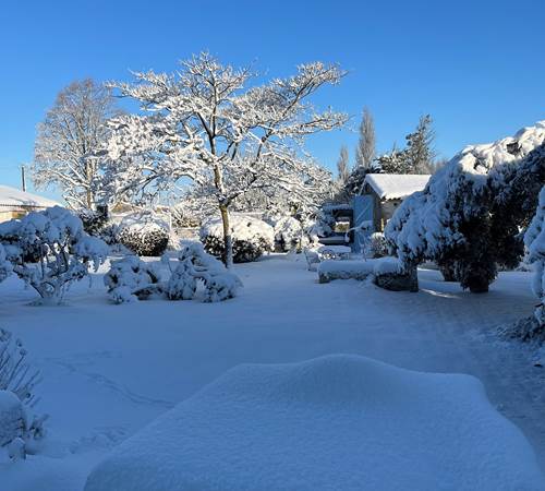 L'Enclos bleu sous la neige