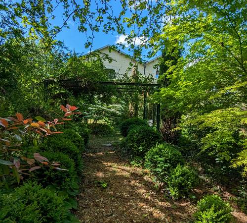 sous les platanes, la petite allée bordée de buis-photo-page