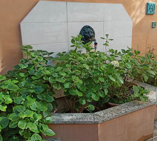 esprit méditerranéen du patio-photo-page