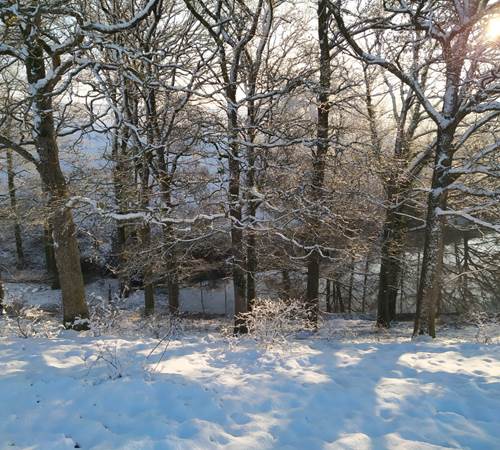 IMG-20210124-WA0025