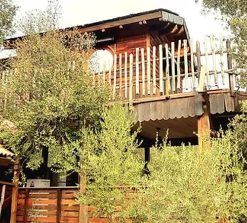 Notre cabane dans l'arbre-galerie