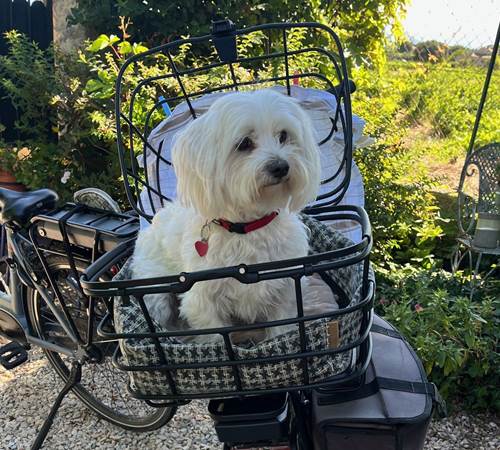 Gîte Le Couchant - Accueil Vélo-galerie