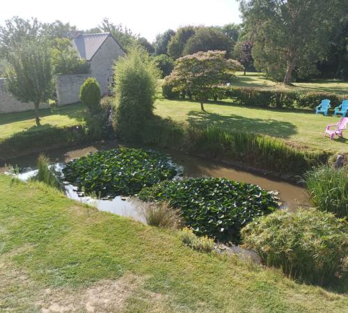 relaxation-chant-d'oiseaux-ombre-fraicheur-tranquilité-repos-terrasse-galerie