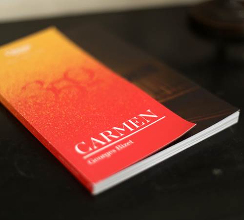 Chambre Carmen-photo-page