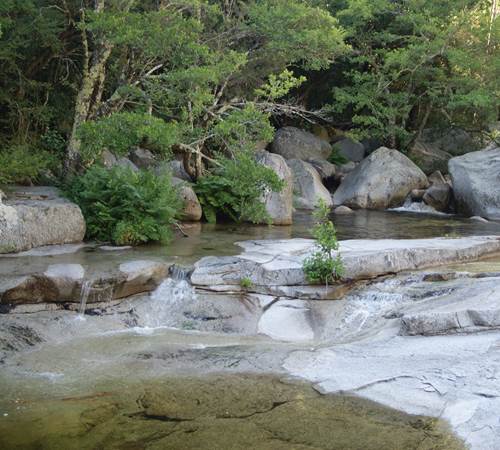 Sans titre-photo-page