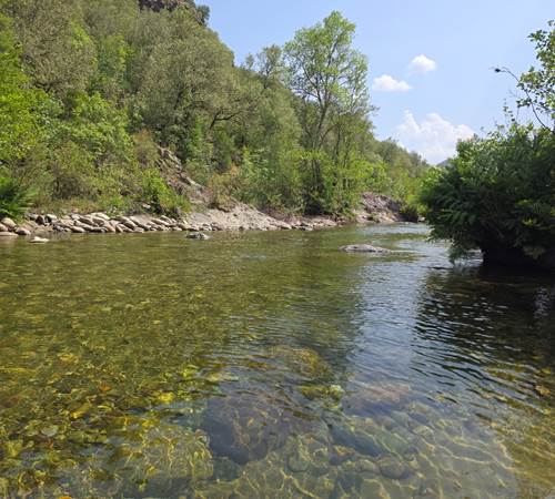 photo riviere2-galerie