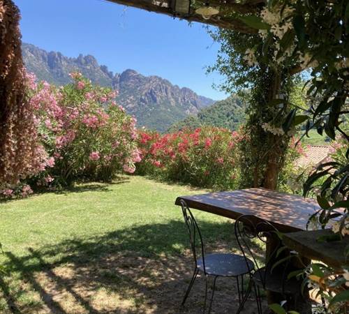 c37e3505aa8b-galerie