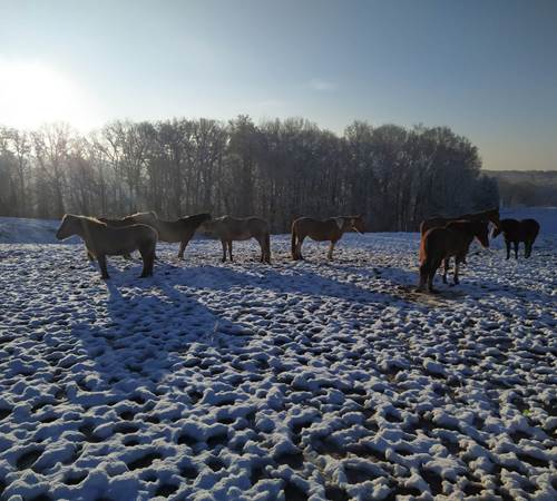 IMG-20210124-WA0020