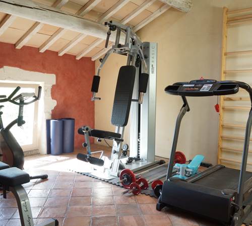 Maison en Provence de charme  - Salle de sport ocre rouille  - Lapalud - Vaucluse-galerie