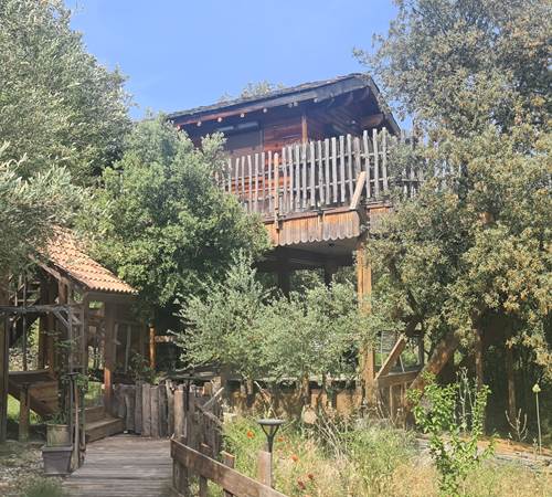 La chambre de la cabane dans l'arbre-galerie