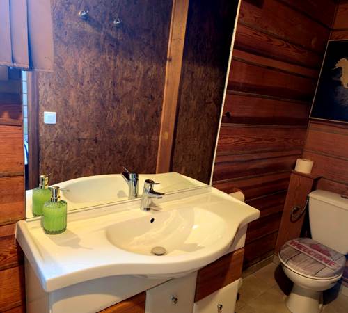 salle de bain avec douche, WC, lavabo-galerie