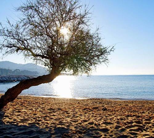 plage-carqueiranne-var-1920x960