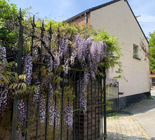 Gîte groupe 14 personnes Wallonie Namur Gembloux-galerie