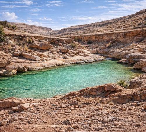 L'oued dans l'oasis de Saf-Saf