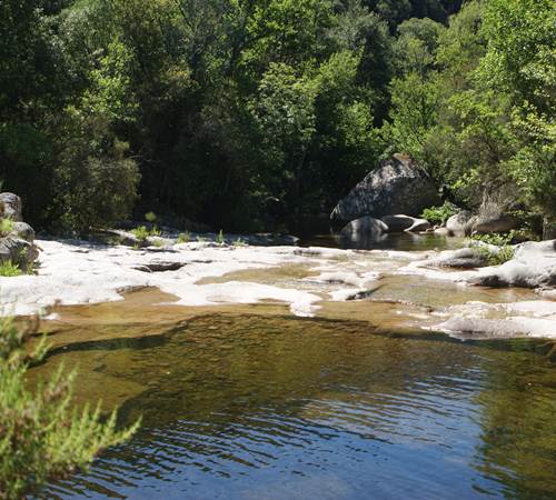 Sans titre-photo-page