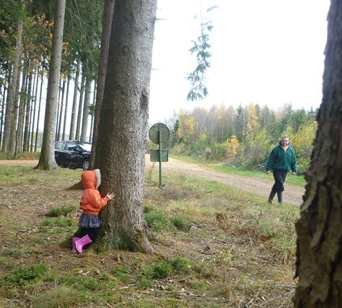 Les découvertes en forêt et ses parties de cache cache