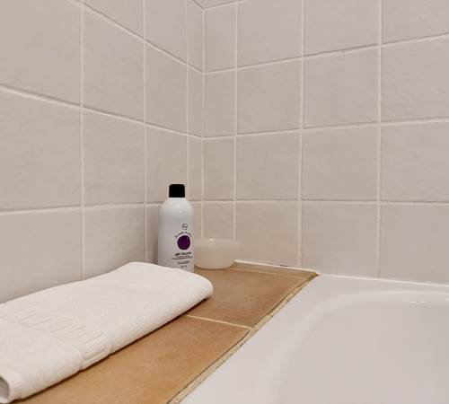 La salle de bains-galerie