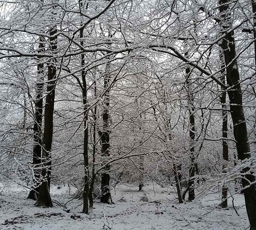 20210102_150841-galerie